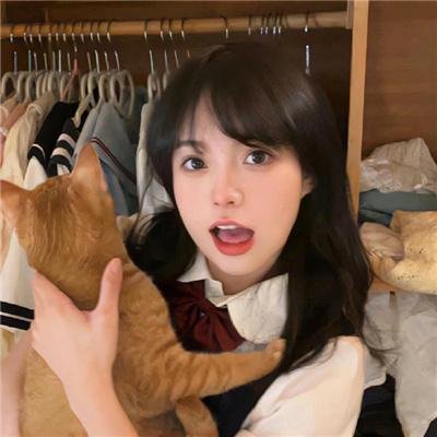北京杂种